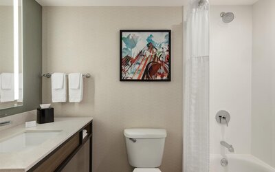 Hilton Garden Inn Atlanta Downtown