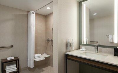 Hilton Garden Inn Atlanta Downtown