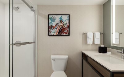 Hilton Garden Inn Atlanta Downtown