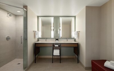 Hilton Garden Inn Atlanta Downtown