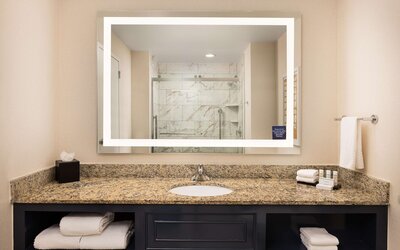 Embassy Suites by Hilton Atlanta Buckhead