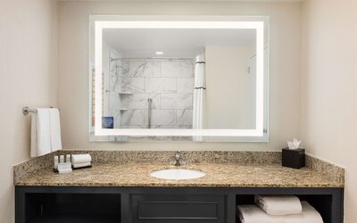 Embassy Suites by Hilton Atlanta Buckhead