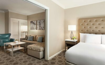 Hilton New Orleans/St. Charles Avenue