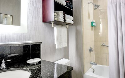 Crowne Plaza New Orleans French Qtr - Astor by IHG