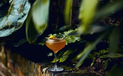 Kimpton Sylvan Hotel by IHG