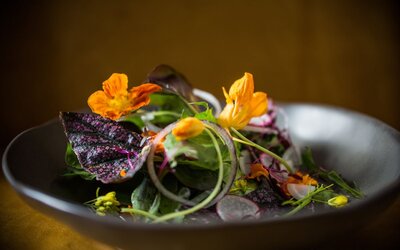 Kimpton Sylvan Hotel by IHG
