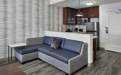 Residence Inn by Marriott Atlanta Perimeter Center/Dunwoody