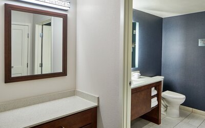 Residence Inn by Marriott Atlanta Perimeter Center/Dunwoody