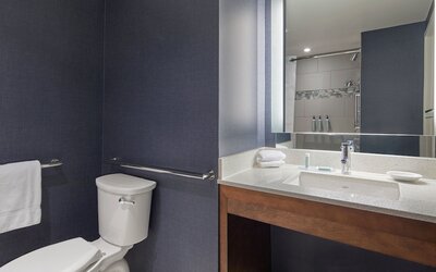 Residence Inn by Marriott Atlanta Perimeter Center/Dunwoody