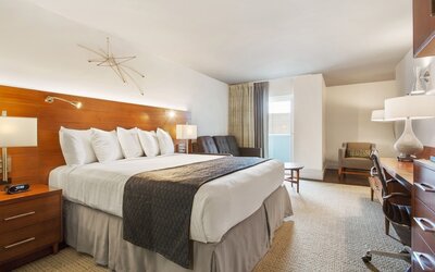 Alder Hotel Uptown New Orleans