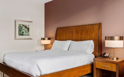 Hilton Garden Inn New Orleans French Quarter/CBD
