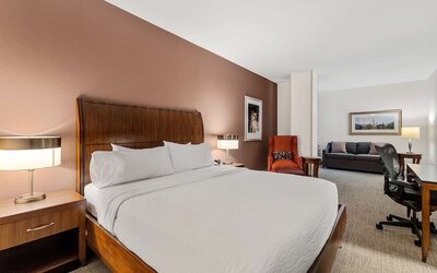 Hilton Garden Inn New Orleans French Quarter/CBD