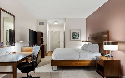 Hilton Garden Inn New Orleans French Quarter/CBD