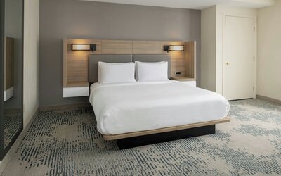 SpringHill Suites by Marriott New Orleans Warehouse Arts District