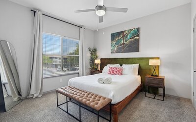 Furnished Apartments Next to the Domain