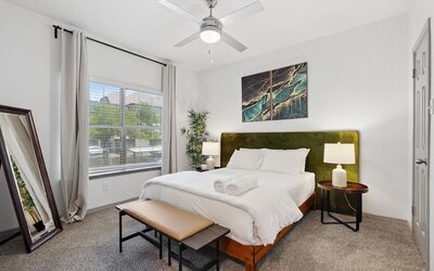 Furnished Apartments Next to the Domain