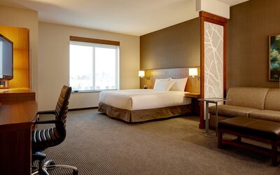Hyatt Place Atlanta Downtown