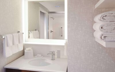 Hampton Inn & Suites Atlanta Airport North I-85