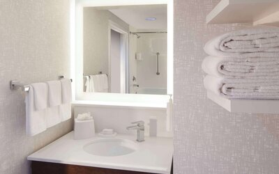 Hampton Inn & Suites Atlanta Airport North I-85