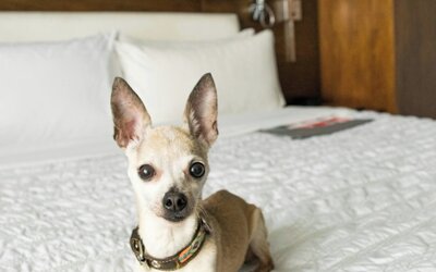 Le Meridien Atlanta Perimeter by Marriott