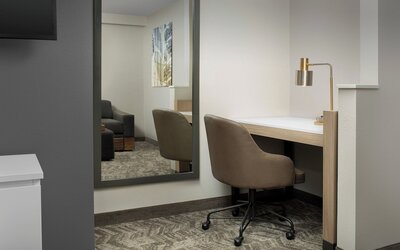 SpringHill Suites by Marriott Atlanta Perimeter Center