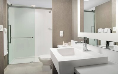 SpringHill Suites by Marriott Atlanta Perimeter Center