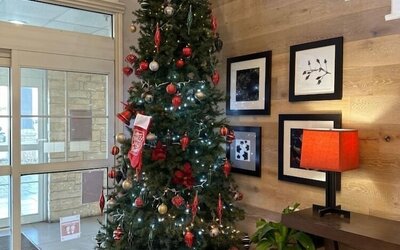 Country Inn & Suites by Radisson, Austin North (Pflugerville), TX