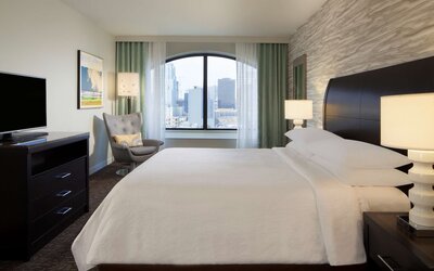 Hilton Garden Inn Austin Downtown
