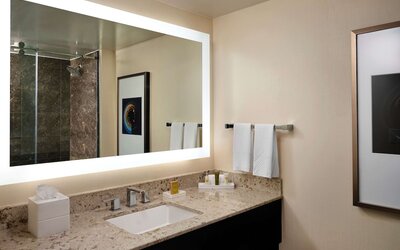 Hilton Atlanta Airport