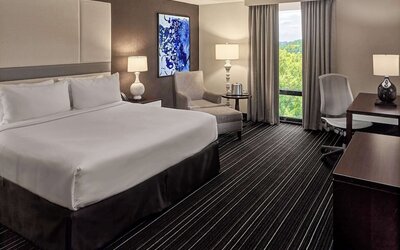 Suite, 1 King Bed with Sofa bed