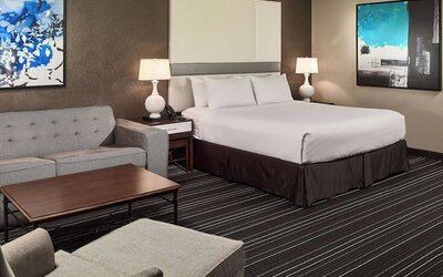 Room, 1 King Bed with Sofa bed