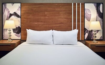 Suite, 1 King Bed with Sofa bed