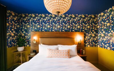 The Frances Modern Inn