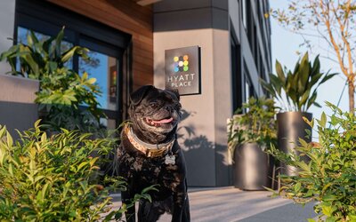 Hyatt Place Atlanta / Perimeter Center