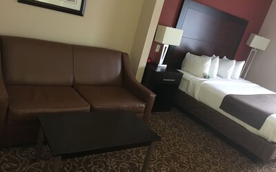 Wingate by Wyndham Atlanta Galleria/Ballpark