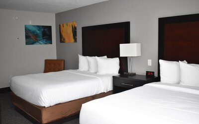 Wingate by Wyndham Atlanta Galleria/Ballpark