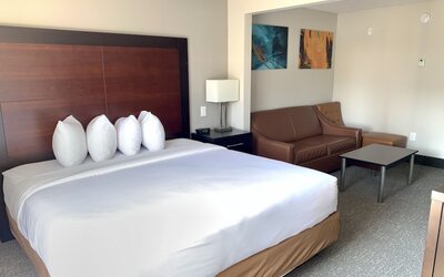 Wingate by Wyndham Atlanta Galleria/Ballpark