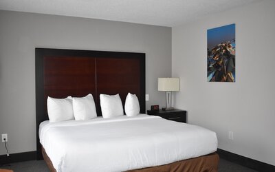 Wingate by Wyndham Atlanta Galleria/Ballpark
