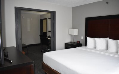 Wingate by Wyndham Atlanta Galleria/Ballpark