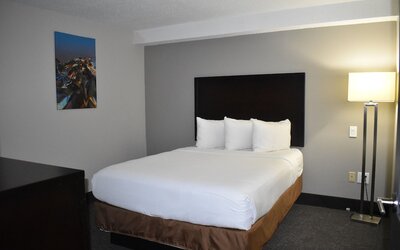 Wingate by Wyndham Atlanta Galleria/Ballpark