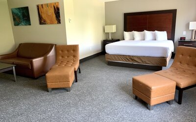 Wingate by Wyndham Atlanta Galleria/Ballpark