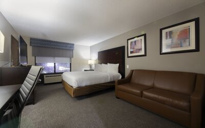 Wingate by Wyndham Atlanta Galleria/Ballpark