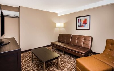 Wingate by Wyndham Atlanta Galleria/Ballpark