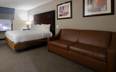 Wingate by Wyndham Atlanta Galleria/Ballpark