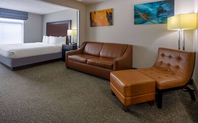 Wingate by Wyndham Atlanta Galleria/Ballpark