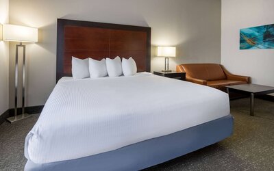 Wingate by Wyndham Atlanta Galleria/Ballpark