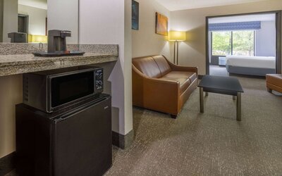 Wingate by Wyndham Atlanta Galleria/Ballpark
