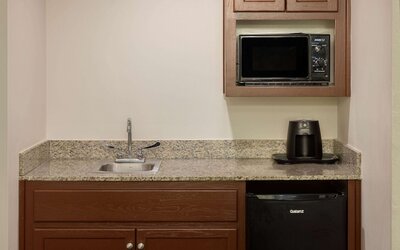 Wingate by Wyndham Atlanta Galleria/Ballpark