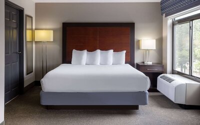 Wingate by Wyndham Atlanta Galleria/Ballpark