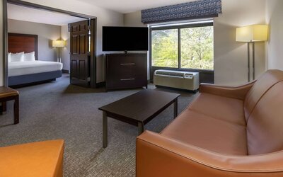 Wingate by Wyndham Atlanta Galleria/Ballpark